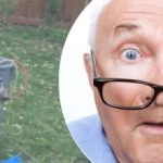 Det mærkelige fund nær træet efterlod naboen forundret: Hvilken hemmelighed gemte hun på? Det mærkelige fund nær træet efterlod naboen forundret: Hvilken hemmelighed