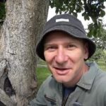 Et hult træ er ikke en dom: en gennemprøvet måde